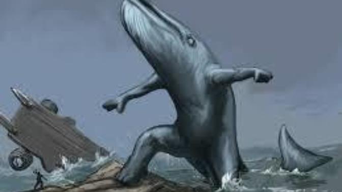 Did Whales Evolve From Land To Sea, From Sea to Land, Both, or is It a Hoax?
