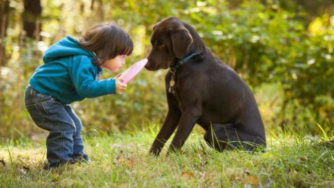 What pets did you have while you were growing up?