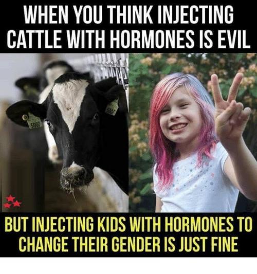 What do you think about drag queen story hour?