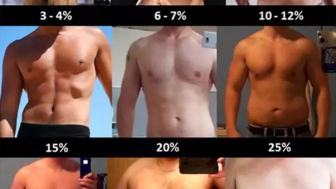 Which body type do you prefer?