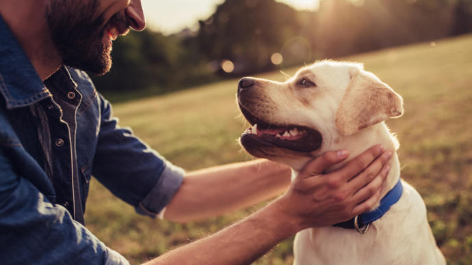 Is someone who hates animals a dealbreaker?