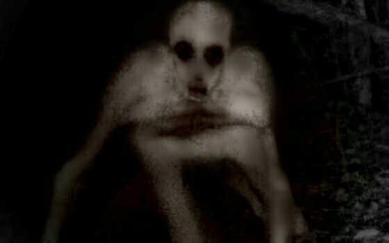 Do you believe that cryptids exist?