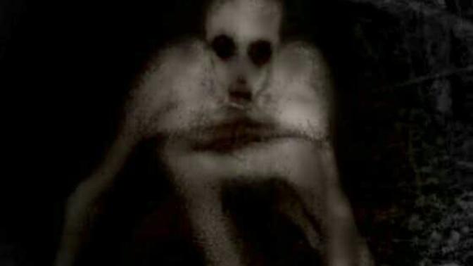 Do you believe that cryptids exist?