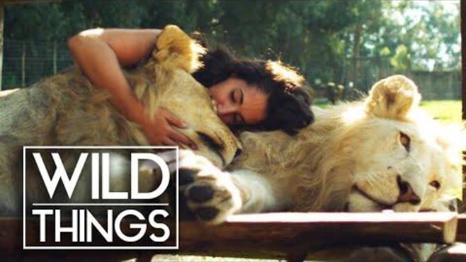 What Do You Think Of Human and Wild Animal Bonding?