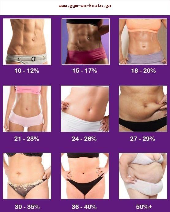 What body type do you prefer? (Female version)?