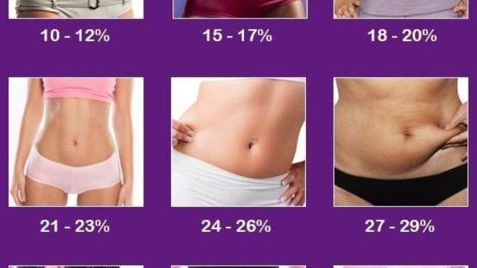 What body type do you prefer? (Female version)?