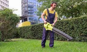 What Option Best Describes Your Feelings About or Relationship to Leaf Blowers?