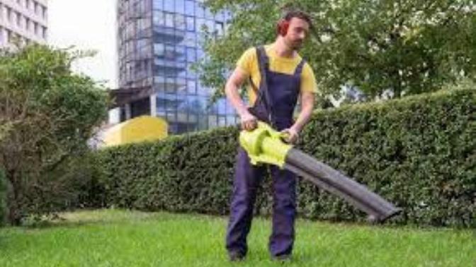 What Option Best Describes Your Feelings About or Relationship to Leaf Blowers?