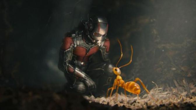 "I saw a couple of ants going near the toilet bowl. Am I diabetic?" ?