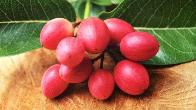 Do you believe "miracle fruit" can cause sour tasting fruits to taste sweet?