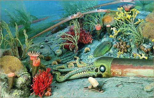 What do you think the most interesting time period in Earths' history was?