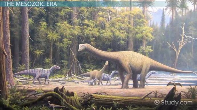 What do you think the most interesting time period in Earths' history was?