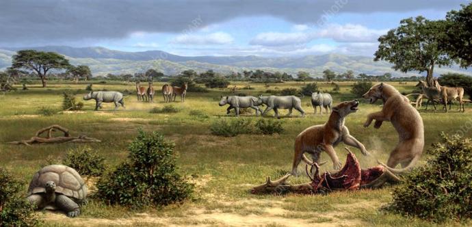What do you think the most interesting time period in Earths' history was?