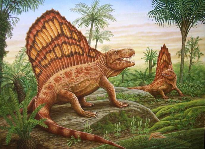 What do you think the most interesting time period in Earths' history was?