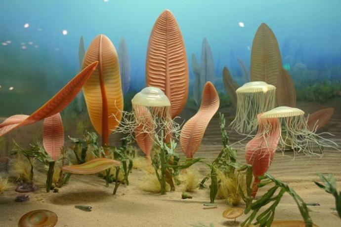 What do you think the most interesting time period in Earths' history was?