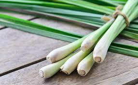 Do you like lemongrass?