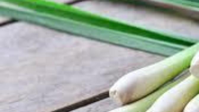 Do you like lemongrass?