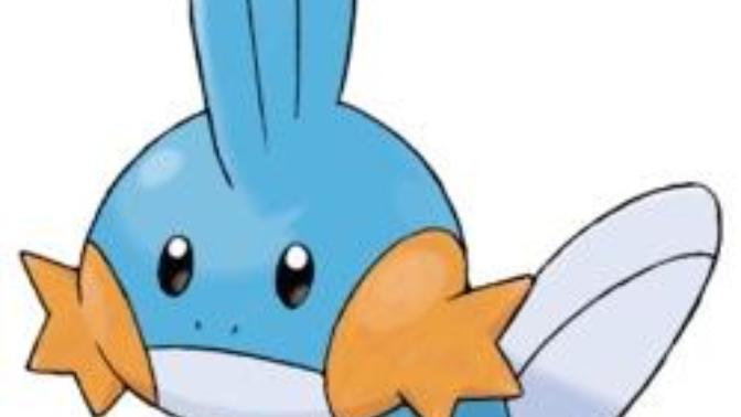 Do you like mudkips?