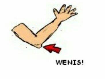 Does wenis size matter? How do you measure it?