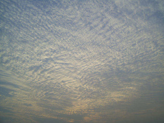 What's your favorite kind of high-altitude cloud?