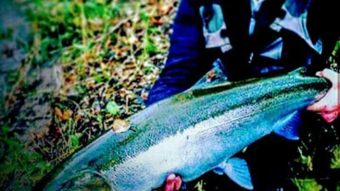 Wish I could find a girl fishing buddy?