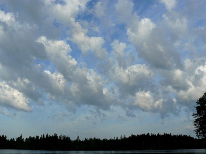 What's your favorite kind of low-altitude clouds?