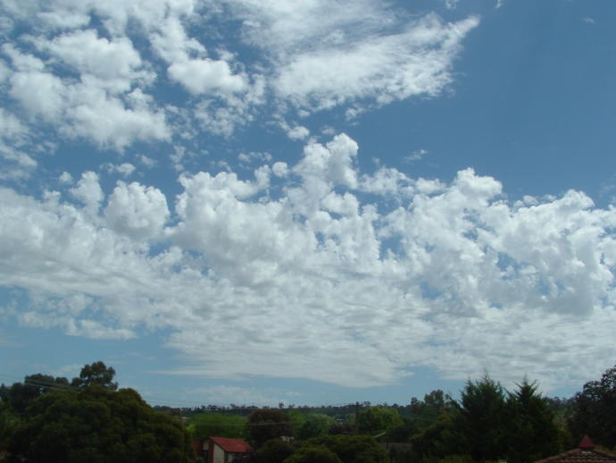 What's your favorite kind of low-altitude clouds?