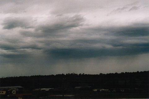 What's your favorite kind of low-altitude clouds?