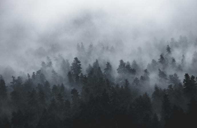 What's your favorite kind of low-altitude clouds?