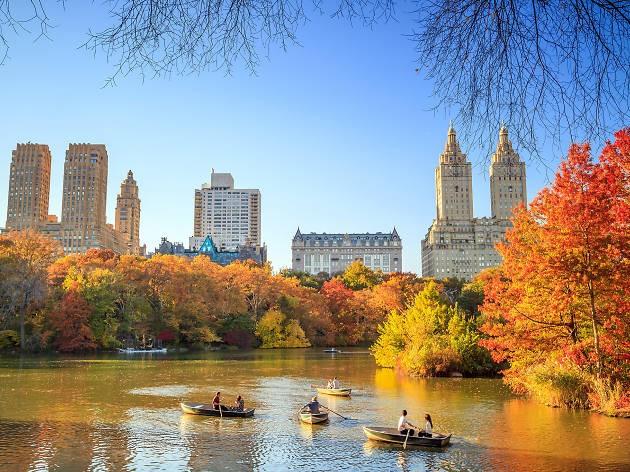 Would you rather travel to Cancun Or New York??