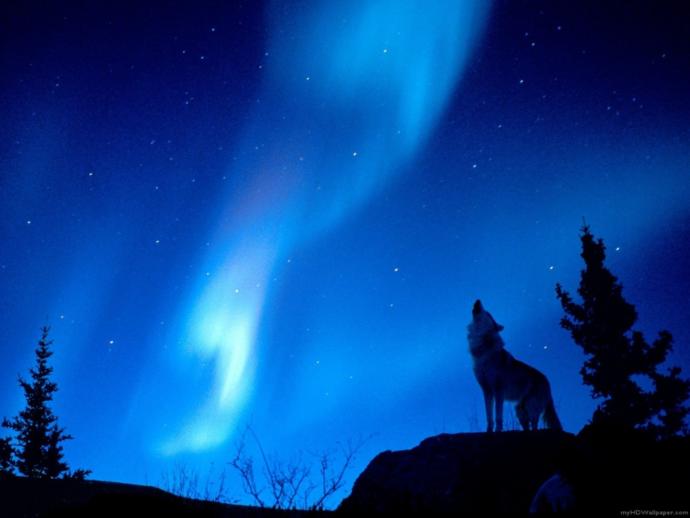 What's your favorite color aurora?