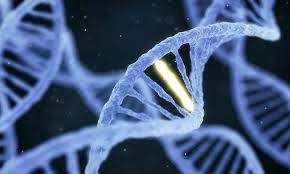 Would you avoid having biological children if you had an inheritable disease?