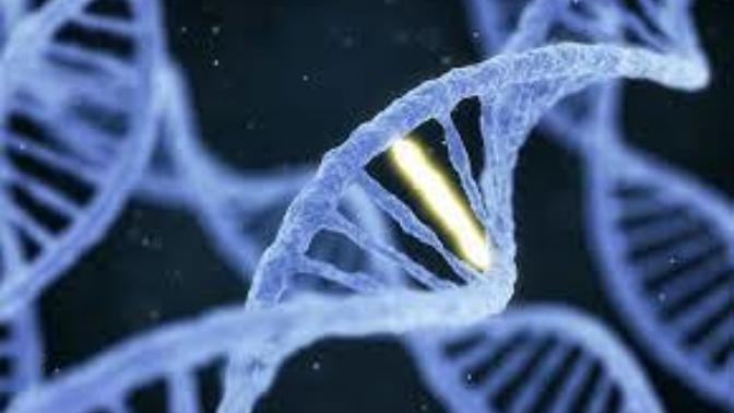 Would you avoid having biological kids if you had inheritable disease?