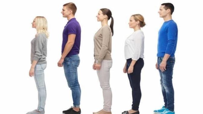 Are you tall, short, or average?