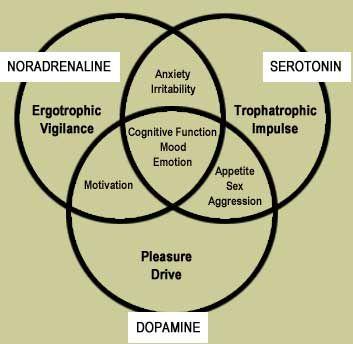 Is falling in love REAL or simply a chemical reaction in the BRAIN?