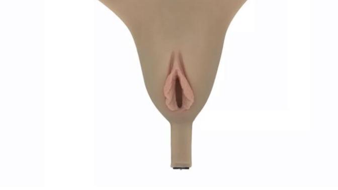 Fake panty vagina for a cross dresser do you think I should try girls?