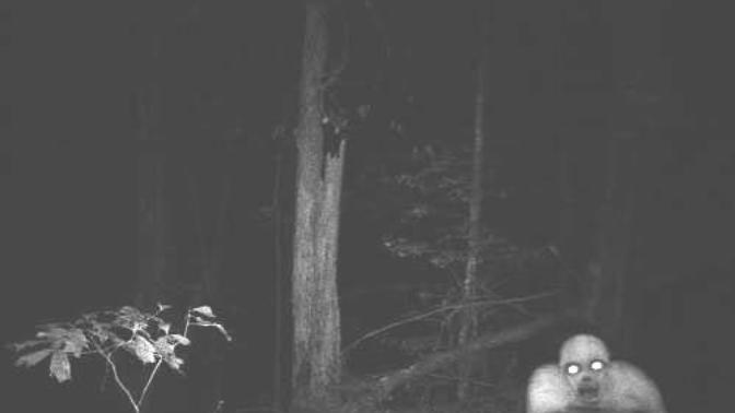 Who wants to go camping?