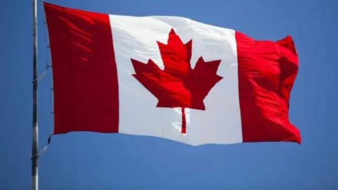 Can anyone suggest me any good (genuine) Immigration agents for Canada?