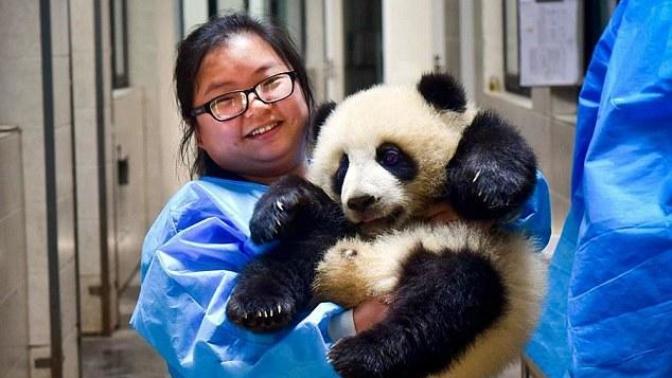What is the best job in this world?