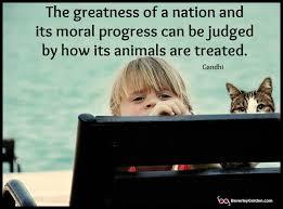 What About Your Theory of Origins and Caring for Animals?