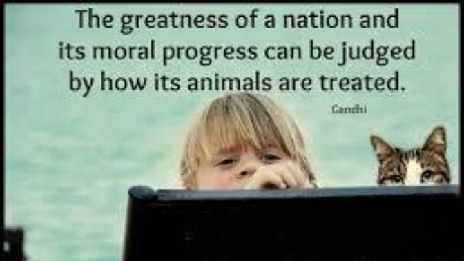 What About Your Theory of Origins and Caring for Animals?