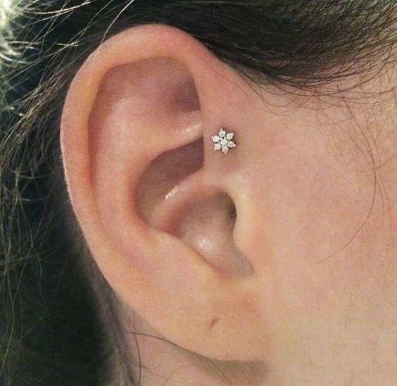 Which piercing should I get first/which looks better?
