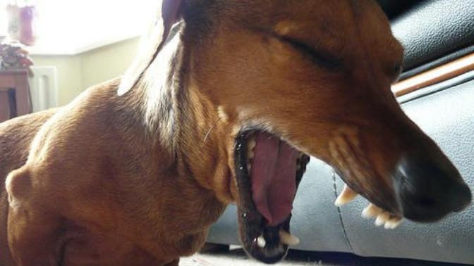 Where do you GAG?