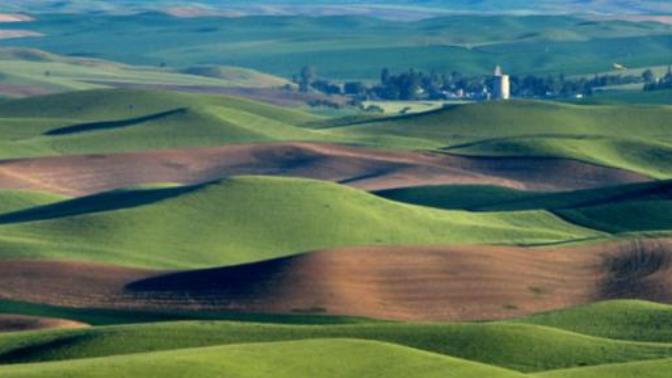 Would you want to visit the Palouse hills in Washington state in the US?