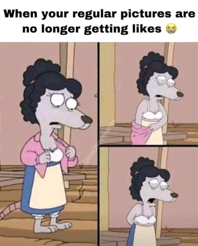 Is this how instagram is these days?