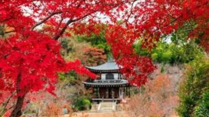 Would you rather visit Japan in Fall or Winter?