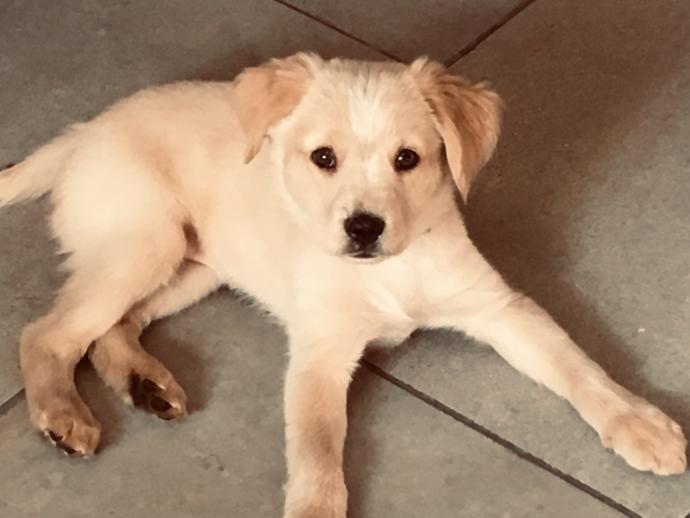 Name?