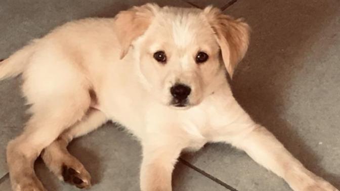 Help pick name for puppy?