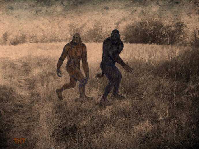 What is the proper plural form of the noun ‘bigfoot’ (as is Sasquatch)?