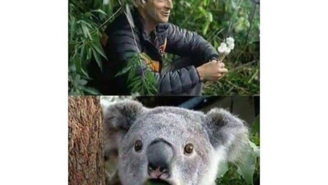 Have you ever lived in a jungle? Like for a trip or something else?